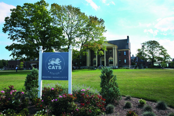 CATS ACADEMY - BOSTON